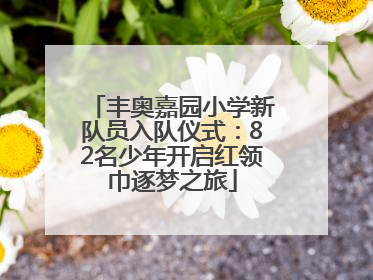 丰奥嘉园小学新队员入队仪式：82名少年开启红领巾逐梦之旅