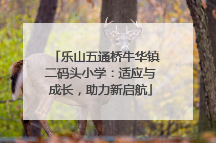 乐山五通桥牛华镇二码头小学：适应与成长，助力新启航