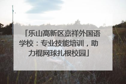 乐山高新区嘉祥外国语学校：专业技能培训，助力棍网球扎根校园
