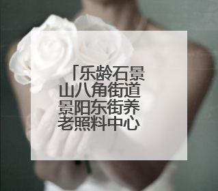 乐龄石景山八角街道景阳东街养老照料中心正式揭牌