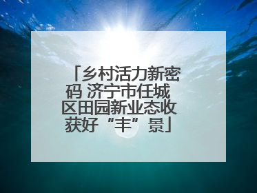 乡村活力新密码 济宁市任城区田园新业态收获好“丰”景