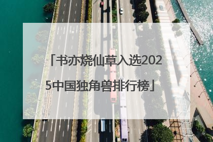 书亦烧仙草入选2025中国独角兽排行榜