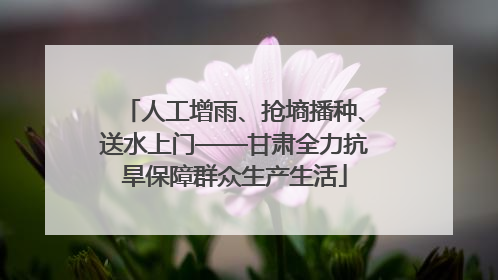 人工增雨、抢墒播种、送水上门——甘肃全力抗旱保障群众生产生活