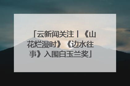 云新闻关注丨《山花烂漫时》《边水往事》入围白玉兰奖