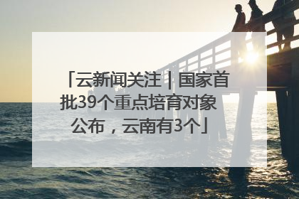 云新闻关注｜国家首批39个重点培育对象公布，云南有3个