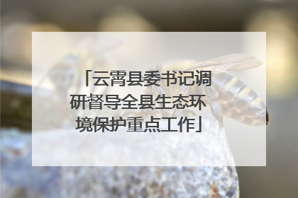 云霄县委书记调研督导全县生态环境保护重点工作