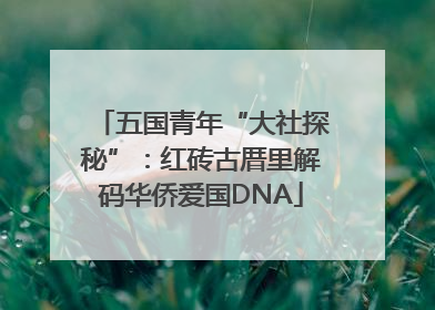 五国青年“大社探秘”：红砖古厝里解码华侨爱国DNA