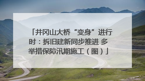井冈山大桥“变身”进行时：拆旧建新同步推进 多举措保障汛期施工（图）