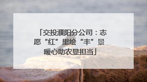 交投濮阳分公司：志愿“红”里绘“丰”景 暖心助农显担当
