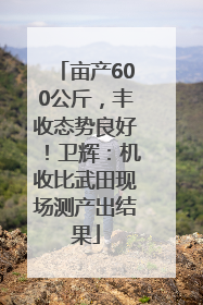 亩产600公斤，丰收态势良好！卫辉：机收比武田现场测产出结果