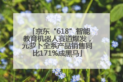 京东“618”智能教育机器人赛道爆发，元萝卜全系产品销售同比171%成黑马