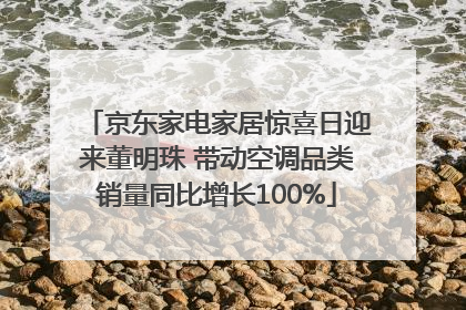 京东家电家居惊喜日迎来董明珠 带动空调品类销量同比增长100%