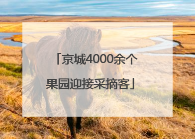 京城4000余个果园迎接采摘客