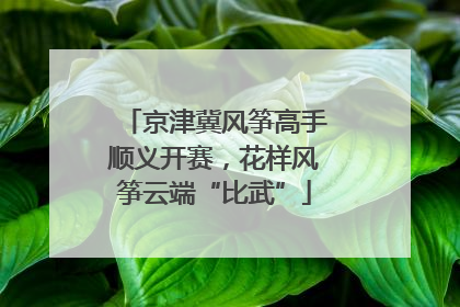 京津冀风筝高手顺义开赛，花样风筝云端“比武”