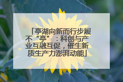 亭湖向新而行步履不“亭”：科创与产业互融互促，催生新质生产力澎湃动能