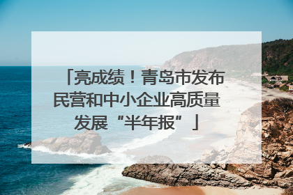亮成绩！青岛市发布民营和中小企业高质量发展“半年报”