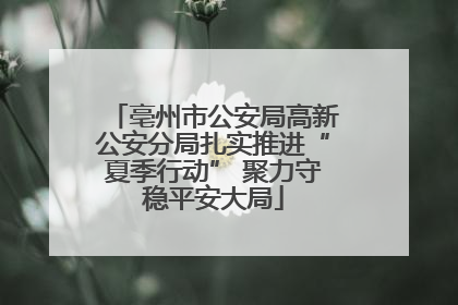亳州市公安局高新公安分局扎实推进“夏季行动” 聚力守稳平安大局