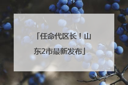任命代区长！山东2市最新发布