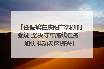 任振鹤在庆阳市调研时强调 坚决守牢底线任务 加快推动老区振兴