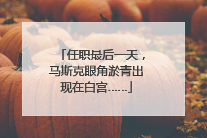 任职最后一天，马斯克眼角淤青出现在白宫……