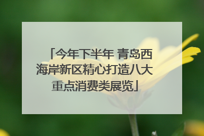 今年下半年 青岛西海岸新区精心打造八大重点消费类展览