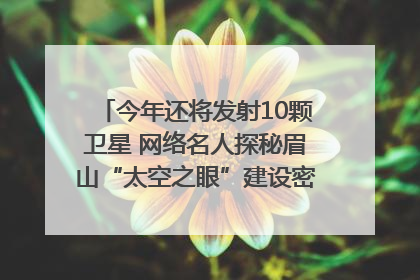 今年还将发射10颗卫星 网络名人探秘眉山“太空之眼”建设密码｜网络名人四川行