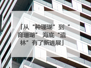从“种珊瑚”到“育珊瑚” 海底“造林”有了新进展
