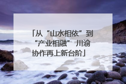 从“山水相依”到“产业相融” 川渝协作再上新台阶