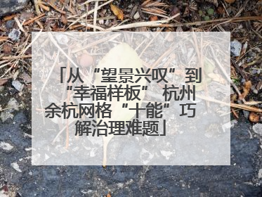 从“望景兴叹”到“幸福样板” 杭州余杭网格“十能”巧解治理难题