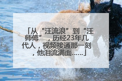 从“汪流浪”到“汪师傅”，历经23年几代人，视频接通那一刻，他泪流满面……