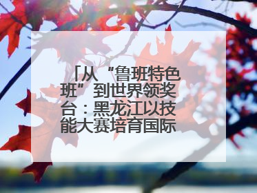 从“鲁班特色班”到世界领奖台：黑龙江以技能大赛培育国际级工匠人才