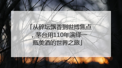 从碎坛飘香到世博焦点，茅台用110年演绎一瓶美酒的世界之旅