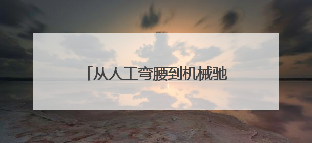 从人工弯腰到机械驰骋 即墨蓝村水稻种植开启智能农耕新模式