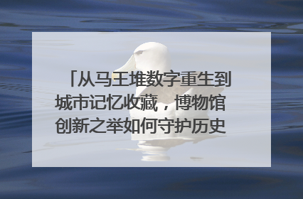 从马王堆数字重生到城市记忆收藏，博物馆创新之举如何守护历史、连接未来？