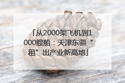 从2000架飞机到1000艘船：天津东疆“租”出产业新高地