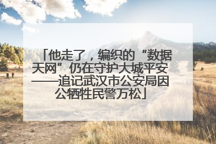 他走了，编织的“数据天网”仍在守护大城平安——追记武汉市公安局因公牺牲民警万松