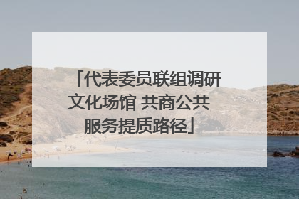 代表委员联组调研文化场馆 共商公共服务提质路径