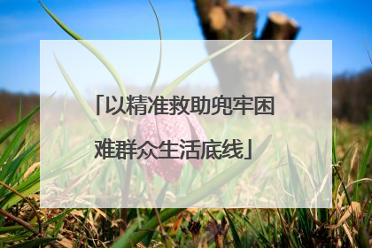 以精准救助兜牢困难群众生活底线