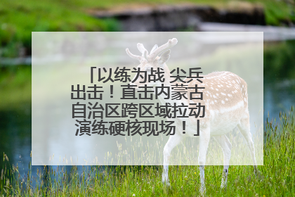 以练为战 尖兵出击！直击内蒙古自治区跨区域拉动演练硬核现场！