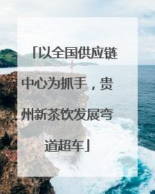 以全国供应链中心为抓手，贵州新茶饮发展弯道超车