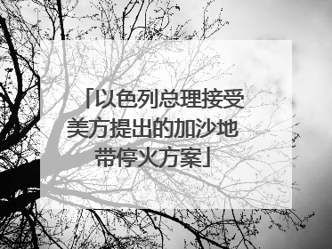 以色列总理接受美方提出的加沙地带停火方案