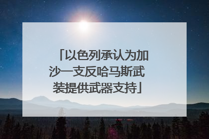 以色列承认为加沙一支反哈马斯武装提供武器支持
