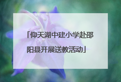 仰天湖中建小学赴邵阳县开展送教活动