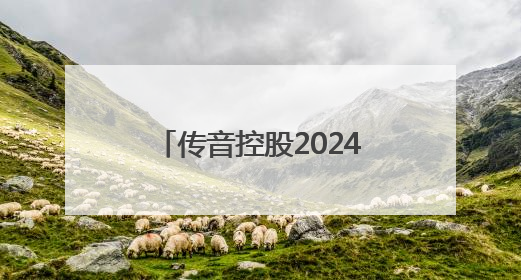 传音控股2024年年报：新兴市场战略深化与高分红策略下的突围之路
