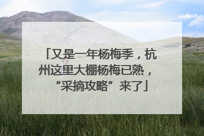 又是一年杨梅季，杭州这里大棚杨梅已熟，“采摘攻略”来了