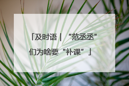 及时语｜“范丞丞”们为啥要“补课”