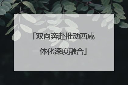 双向奔赴推动西咸一体化深度融合
