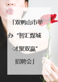 双鸭山市举办“智汇煤城·才聚双赢”招聘会