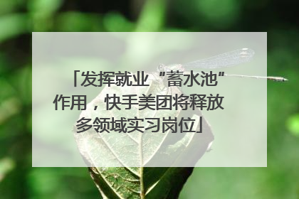 发挥就业“蓄水池”作用，快手美团将释放多领域实习岗位