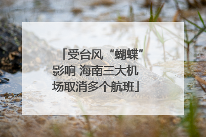 受台风“蝴蝶”影响 海南三大机场取消多个航班